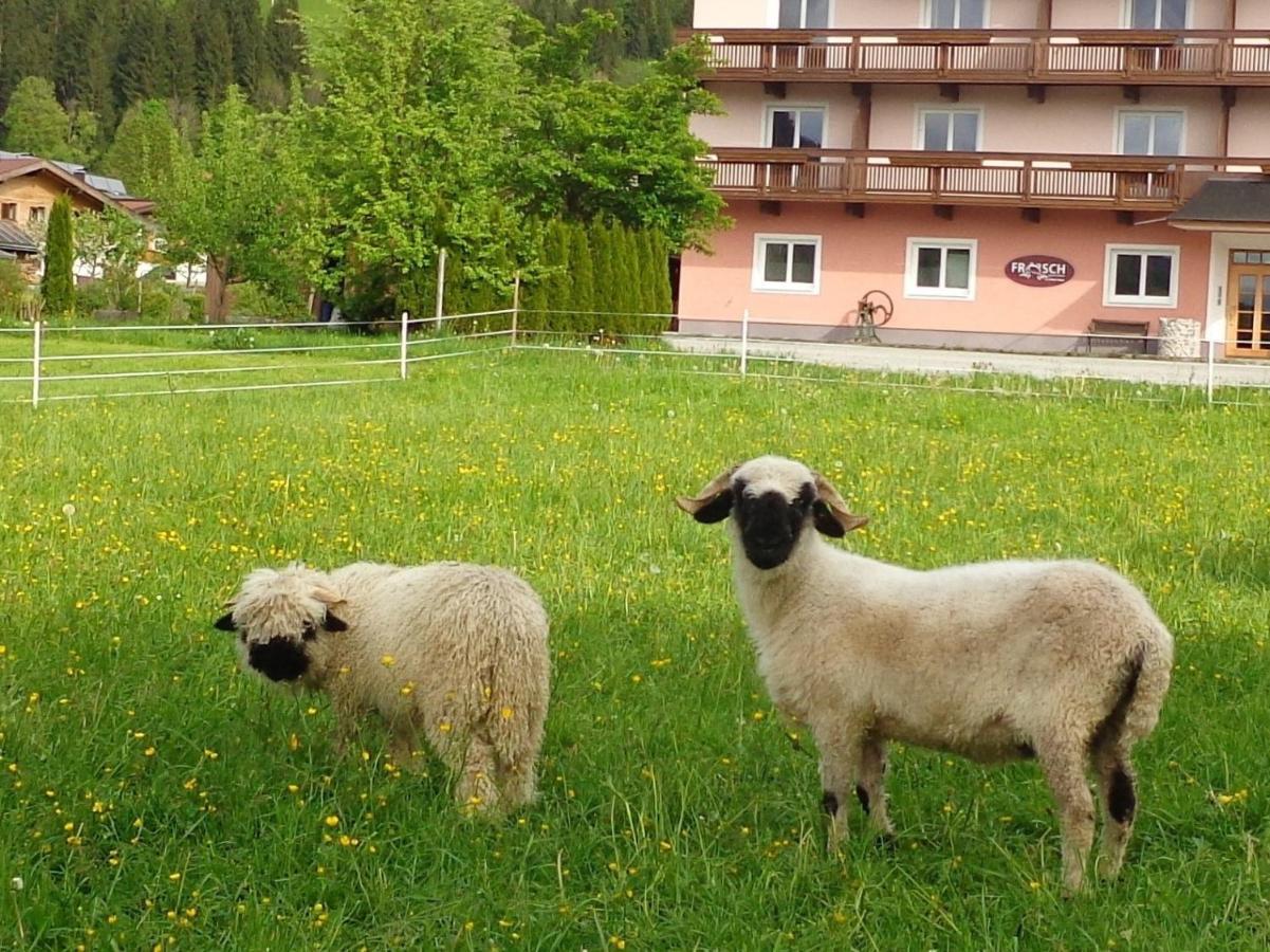 Hinterlechnerhof Hotel Westendorf Luaran gambar